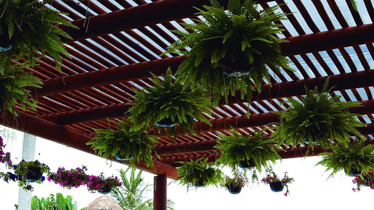 Hotel Cabanas Del Capitan Rincón de Guayabitos Exteriér fotografie